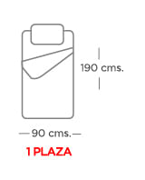 1 plaza