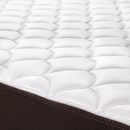 Cama Europea New Ergo T 2 Plazas Base Divida
